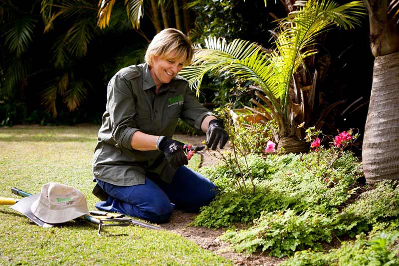 Gardening Spray Treatments Perth Wa Weeding Women